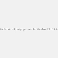 Rabbit Anti Apolipoprotein Antibodies ELISA kit